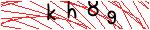 Image verification