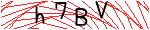 Image verification